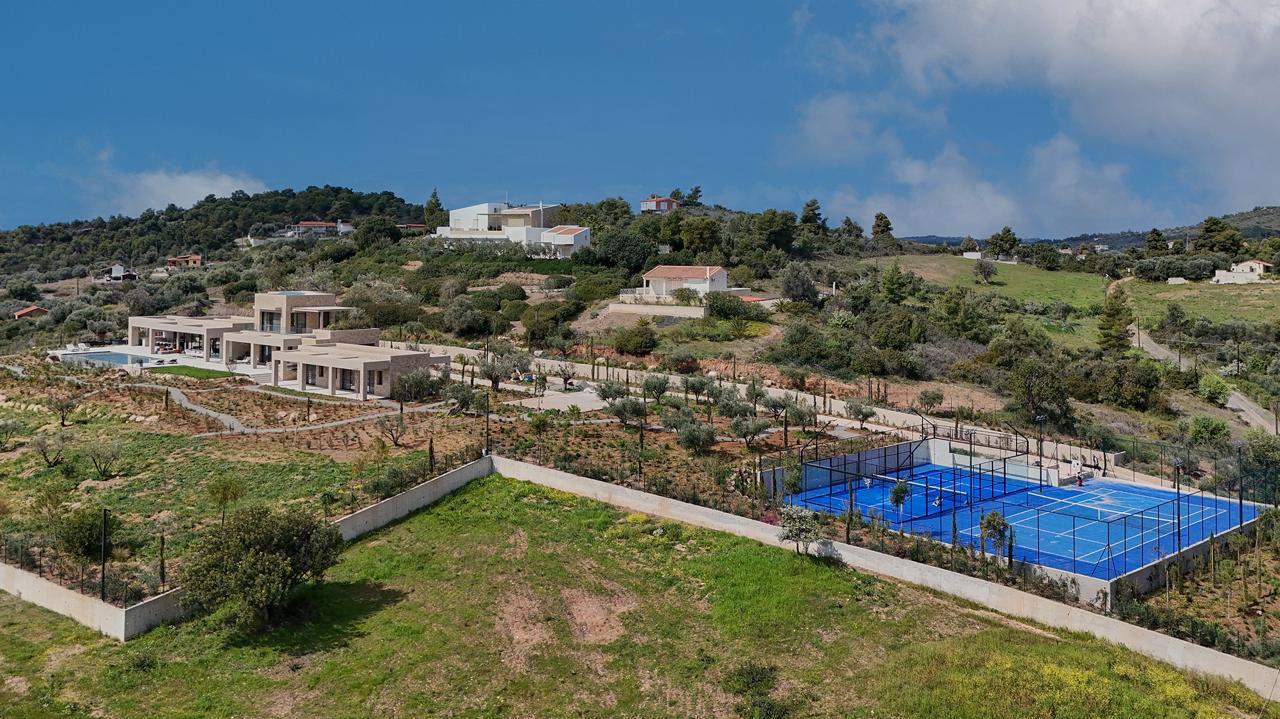 מבט אווירי על אחוזה פרטית מעל פורטו חלי